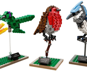 LEGO Ideas Vogels - 21301