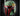 75277 Star Wars Boba Fett Helm